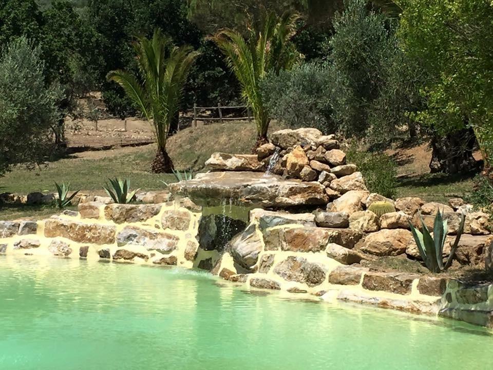 Agriturismo La Fontanella & Glamping Suvereto Exterior foto
