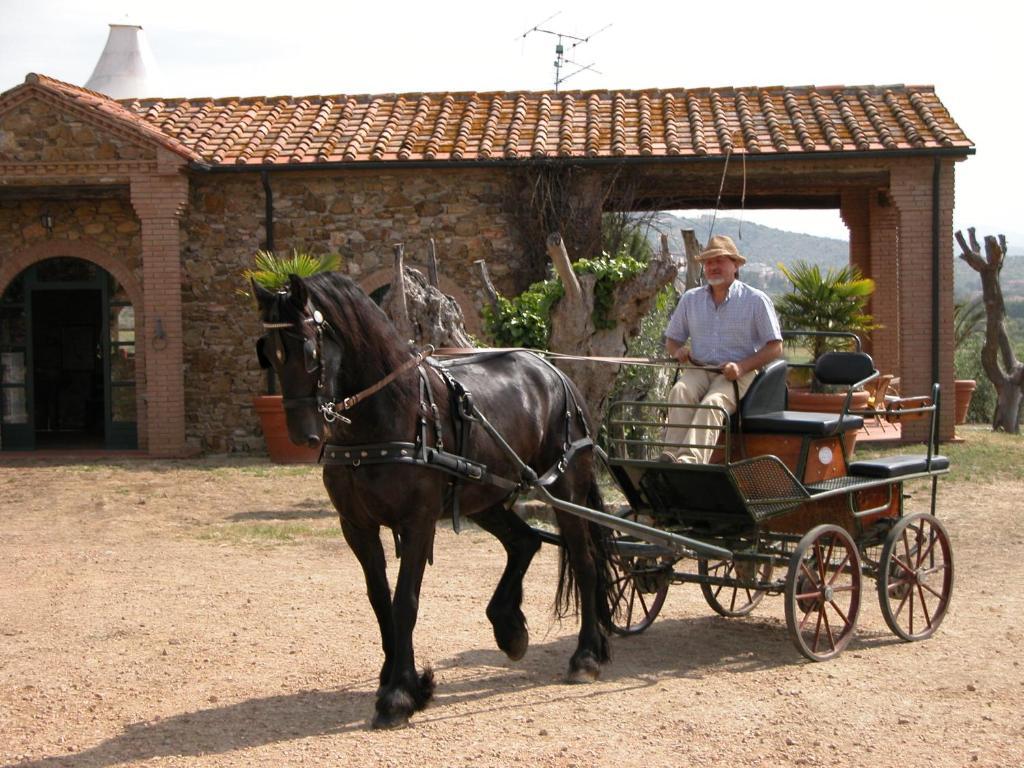 Agriturismo La Fontanella & Glamping Suvereto Exterior foto