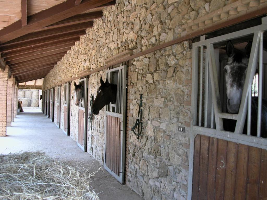 Agriturismo La Fontanella & Glamping Suvereto Exterior foto
